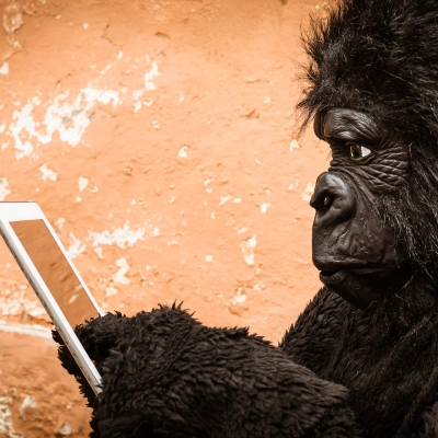 Adaptability and Responsiveness